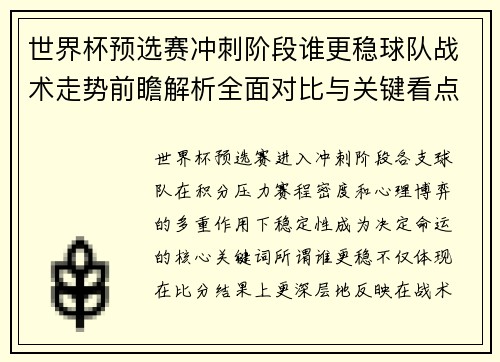 世界杯预选赛冲刺阶段谁更稳球队战术走势前瞻解析全面对比与关键看点